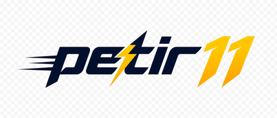 Logo petir11